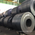 AISI SAE 1070 Galvanizzato/Piatta metallica espansa in alluminio